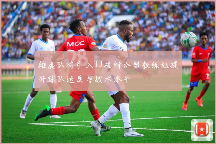 雄鹿队将引入TJ福特加盟教练组提升球队速度与战术水平
