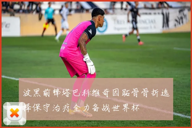 波黑前锋塔巴科维奇因跖骨骨折选择保守治疗全力备战世界杯